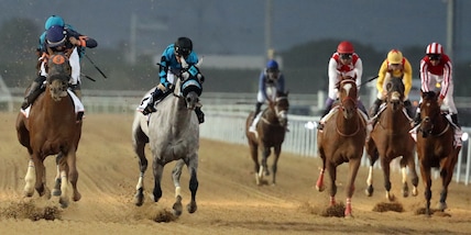 Ippica, Battistoni (Mipaaf): "Oggi riaprono le corse al pubblico"