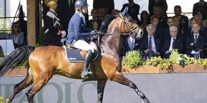 Piazza di Siena, Cozzoli: "Premiato il nostro coraggio"