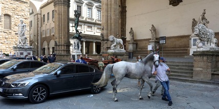 Paura a Firenze, cavallo imbizzarrito finisce contro l'auto della ministra Lamorgese