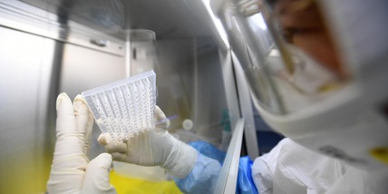 "Coronavirus sfuggito dal laboratorio di Wuhan", arriva la conferma