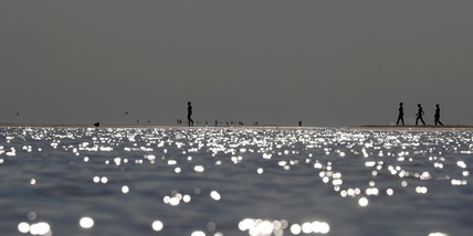 Onu, allarme degli scienziati: Co2 e livello del mare troppo alti