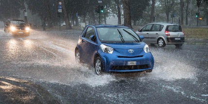 Roma, il maltempo crea disagi: alberi e rami crollano nella Capitale