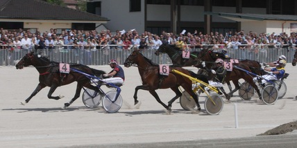 Ippica: a Milano tornano le aste Anact di puledri trottatori