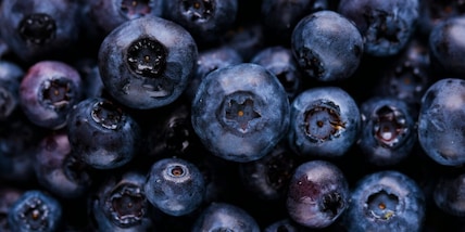 I 7 alimenti che favoriscono la crescita dei neuroni: agiscono come fertilizzante per il cervello