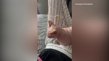 Ilary Blasi, quante coccole con Alfio