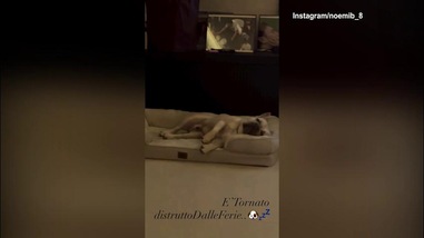 Casa Noemi Bocchi: chi russa sul divanetto?