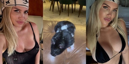 Wanda Nara, la famiglia si allarga: ecco l'ultimo arrivato