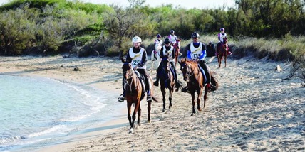 Torre Guaceto, un gioiello di biodiversità e sport