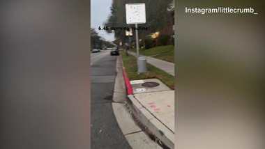 Mattinata in bici e in compagnia del cane per Elisabetta Canalis