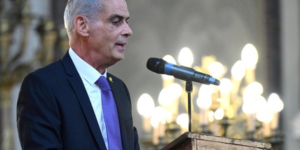 Amb.Israele, 'cortei anti-governo, Gaza non c'entra nulla'