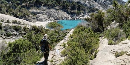 L’Arcipelago Toscano, un incredibile tesoro di biodiversità