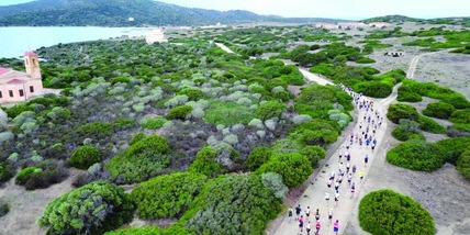 L’Asinara, da carcere a paradiso: il simbolo della rinascita della Sardegna