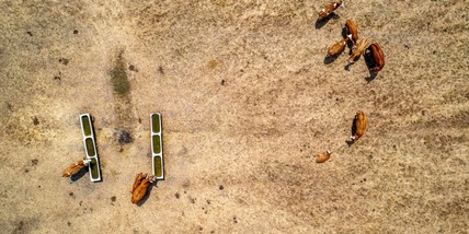 Fao, il degrado del suolo danneggia 1,7 miliardi di persone