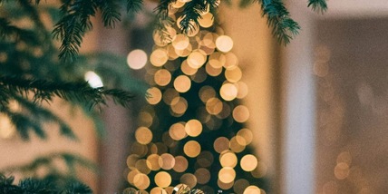 Perché dovresti mettere la cannella sull'albero di Natale: abbondanza e prosperità