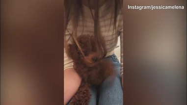 Lady Immobile alle prese con il suo amico a quattro zampe