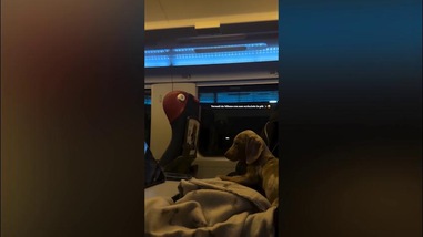 Pisilli, la famiglia si allarga