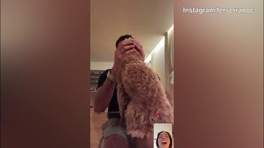 Milan, Gimenez con il cane in collegamento con la moglie Fer Serrano