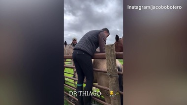 Riecco Thiago Motta: il tecnico coccola un...cavallo