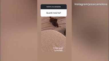 Jessica Melena risponde ai fan e svela l'età...del cucciolo