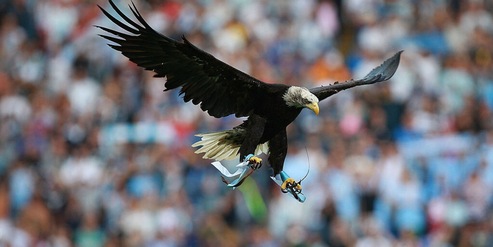 La Lazio annuncia la nuova aquila. In Senato presentata la "Legge Bove"
