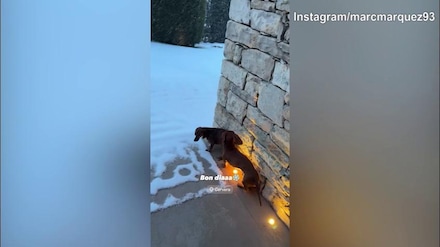 Moto Gp, Marquez si gode la neve e i cani...