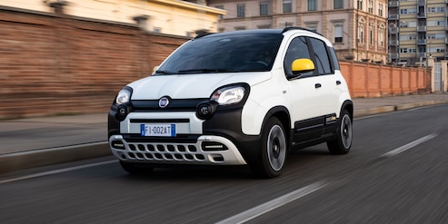 Vendite in calo nel 2025 Mercato ancora in crisi