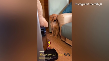 Nuovo arrivato in casa Noemi Bocchi: di chi si tratta?