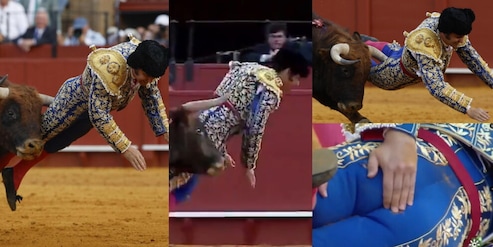 Shock in Spagna, torero incornato nel sedere: è in condizioni gravi con il retto perforato