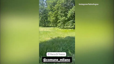 Fognini contro il Comune di Milano: "Tagliate l'erba"