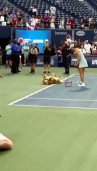 Iga Swiatek festeggia la vittoria a Toronto con il suo cane!