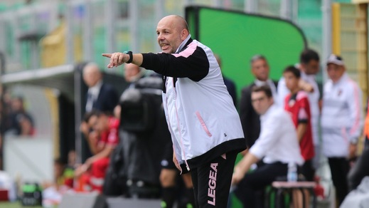 Serie B Palermo, Tedino: «Il Brescia nasconde grandi insidie» Serie B Palermo, Tedino: «Il Brescia nasconde grandi insidie»