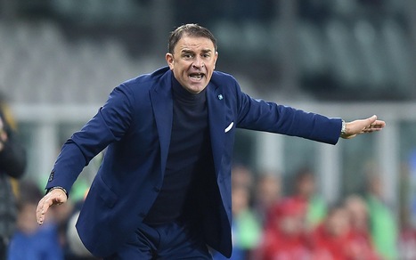 Spal, Semplici: "Di Francesco può partire dall'inizio. Kurtic? E' disponibile"