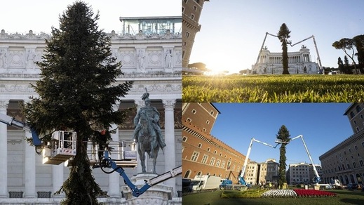 Roma si prepara al Natale: a piazza Venezia torna Spelacchio