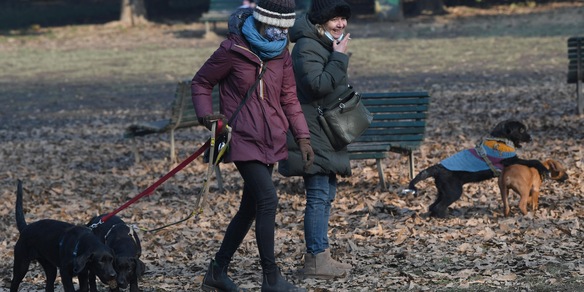 Vaccino Covid anche a cani e gatti domestici: perché è importante