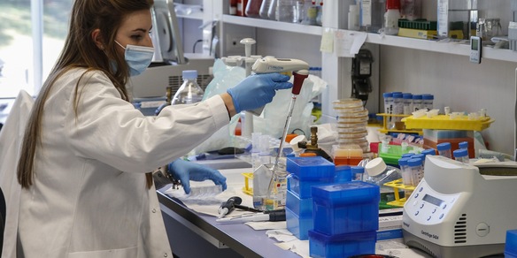 Covid, ultimo monitoraggio Iss: l'indice Rt è in crescita