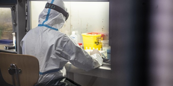 Covid: scoperta una nuova variante in Bretagna