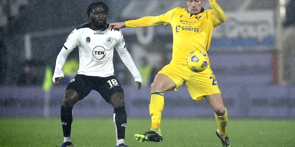 Probabili formazioni Verona-Spezia: aggiornamenti