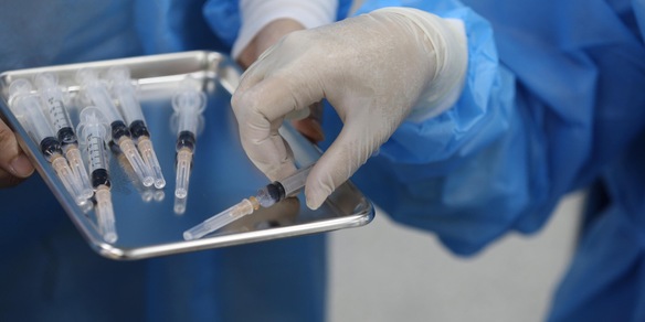 Scoperto un nuovo coronavirus in Malesia