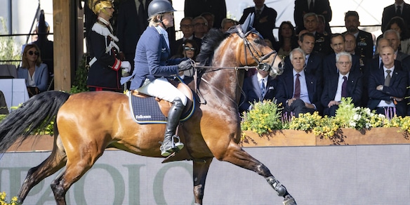 Piazza di Siena, Cozzoli: "Premiato il nostro coraggio"