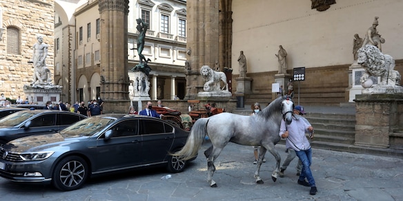Paura a Firenze, cavallo imbizzarrito finisce contro l'auto della ministra Lamorgese