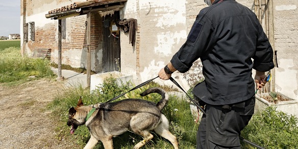 Saman ultime notizie: dove stanno cercando il corpo, la nuova pista