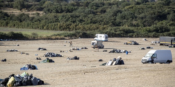 Rave nel viterbese, immondizia e siringhe: dieci pecore sbranate