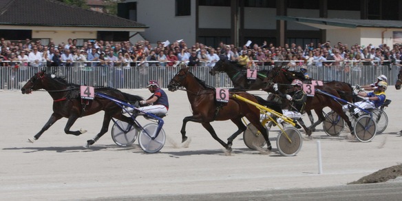 Ippica: a Milano tornano le aste Anact di puledri trottatori
