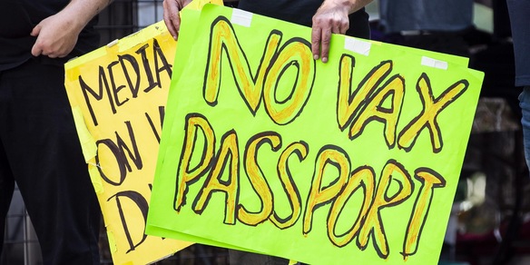 Le minacce choc dei no vax ai politici: "Traditori, vi spelliamo vivi"