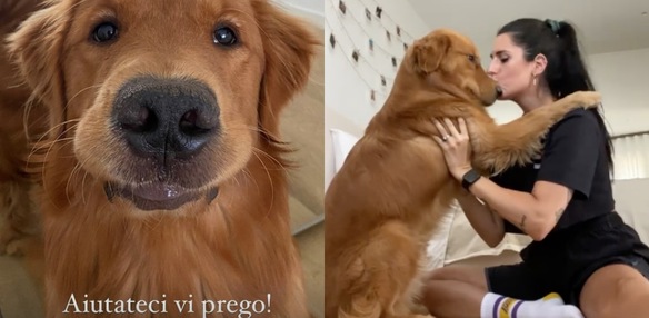 Valentina Vignali in lacrime sui social: "Abbiamo smarrito Muffin, aiutatemi a ritrovarlo"