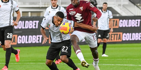 Spezia-Torino 1-0: tabellino, statistiche e marcatori