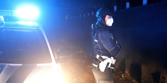 Aviaria, da Ostia a Ferrara: 50mila tacchini sotto sequestro