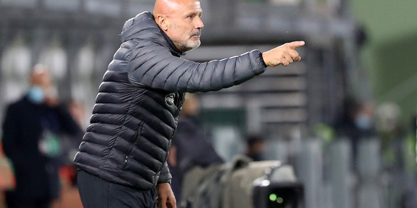 Probabili formazioni Salernitana-Sampdoria: aggiornamenti