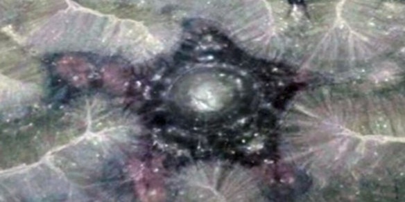 "In Algeria c'è un antico Ufo alieno sepolto nel deserto del Sahara"