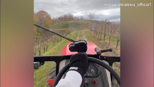 Sanchez sul trattore tra i vigneti del Friuli